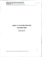 Báo cáo tài chính hợp nhất quý 2 năm 2011 - Công ty Cổ phần Văn hóa Phương Nam