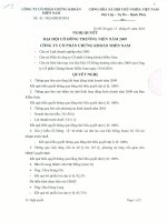 Nghị quyết Đại hội cổ đông thường niên năm 2009 - Công ty cổ phần chứng khoán Phương Nam