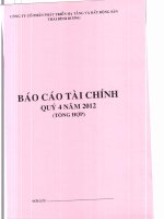 Báo cáo tài chính quý 4 năm 2012 - Công ty Cổ phần Đầu tư và Phát triển Dự án Hạ tầng Thái Bình Dương