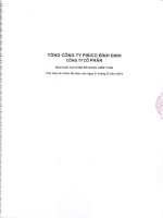 Báo cáo tài chính công ty mẹ năm 2015 (đã kiểm toán) - Tổng công ty Pisico Bình Định - CTCP