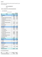 Báo cáo tài chính năm 2008 - Công ty Cổ phần Chứng khoán Phú Hưng