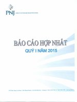 Báo cáo tài chính hợp nhất quý 1 năm 2015 - Công ty Cổ phần Vàng bạc Đá quý Phú Nhuận