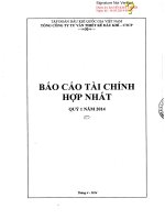 Báo cáo tài chính hợp nhất quý 1 năm 2014 - Tổng Công ty Tư vấn Thiết kế Dầu khí-CTCP