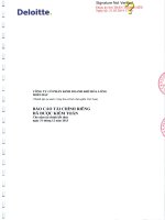 Báo cáo tài chính công ty mẹ năm 2013 (đã kiểm toán) - Công ty Cổ phần Kinh doanh Khí hóa lỏng Miền Bắc