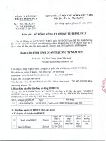 Báo cáo tình hình quản trị công ty - CTCP Đầu tư Điện lực 3