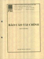 Báo cáo tài chính quý 1 năm 2014 - Công ty cổ phần Chứng khoán Dầu khí