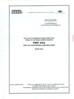Báo cáo tài chính năm 2010 (đã kiểm toán) - Công ty Cổ phần Chứng khoán PHÚ GIA