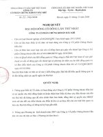 Nghị quyết đại hội cổ đông ngày 21-12-2006 - Công ty cổ phần Chứng khoán Dầu khí