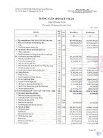 Báo cáo tài chính công ty mẹ quý 3 năm 2010 - Công ty Cổ phần Kinh doanh Khí hóa lỏng Miền Nam