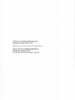Báo cáo tài chính hợp nhất năm 2011 (đã kiểm toán) - Công ty Cổ phần Kinh doanh Khí hóa lỏng Miền Nam
