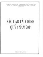 Báo cáo tài chính công ty mẹ quý 4 năm 2014 - Công ty Cổ phần Đầu tư Hạ tầng và Đô thị Dầu khí PVC