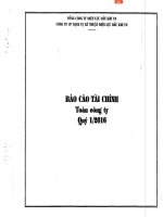 Báo cáo tài chính quý 1 năm 2016 - Công ty Cổ phần Dịch vụ Kỹ thuật Điện lực Dầu khí Việt Nam