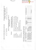 Báo cáo tình hình quản trị công ty - Công ty Cổ phần Hồng Hà Việt Nam