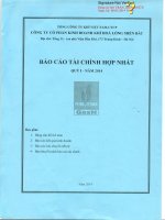 Báo cáo tài chính hợp nhất quý 1 năm 2014 - Công ty Cổ phần Kinh doanh Khí hóa lỏng Miền Bắc