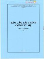 Báo cáo tài chính công ty mẹ quý 1 năm 2014 - Tổng Công ty Tư vấn Thiết kế Dầu khí-CTCP