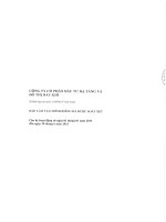 Báo cáo tài chính công ty mẹ quý 2 năm 2013 (đã soát xét) - Công ty Cổ phần Đầu tư Hạ tầng và Đô thị Dầu khí PVC