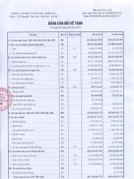 Báo cáo tài chính quý 3 năm 2010 - Công ty cổ phần Đầu tư PV2