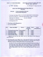 Báo cáo tình hình quản trị công ty - Công ty Cổ phần Xuất nhập khẩu Petrolimex