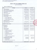 Báo cáo tài chính quý 2 năm 2009 - Công ty Cổ phần Kinh doanh Khí hóa lỏng Miền Nam