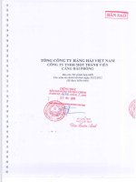 Báo cáo tài chính hợp nhất năm 2012 (đã kiểm toán) - Công ty cổ phần Cảng Hải Phòng