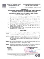 Nghị quyết Hội đồng Quản trị ngày 23-11-2010 - Công ty Cổ phần Kinh doanh Khí hóa lỏng Miền Nam
