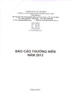 Báo cáo thường niên năm 2013 - Công ty Cổ phần Dược phẩm Dược liệu Pharmedic