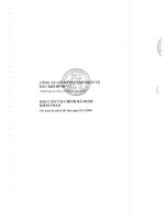 Báo cáo tài chính năm 2008 (đã kiểm toán) - Công ty Cổ phần Cảng dịch vụ Dầu khí Đình Vũ
