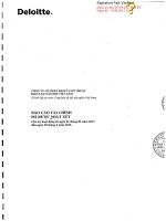 Báo cáo tài chính quý 2 năm 2013 (đã soát xét) - Công ty Cổ phần Dịch vụ Kỹ thuật Điện lực Dầu khí Việt Nam