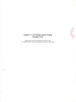 Báo cáo tài chính hợp nhất năm 2015 (đã kiểm toán) - Công ty Cổ phần Dược phẩm Phong Phú
