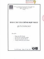 Báo cáo tài chính hợp nhất quý 2 năm 2015 - Công ty Cổ phần Kinh doanh Khí hóa lỏng Miền Nam