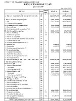 Báo cáo tài chính quý 1 năm 2009 - Công ty cổ phần chứng khoán Phương Nam