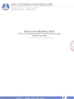 Báo cáo thường niên năm 2014 - Công ty Cổ phần Đầu tư và Xây dựng Bưu điện