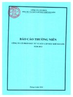 Báo cáo thường niên năm 2013 - Công ty Cổ phần Đầu tư và Xây lắp Dầu khí Sài Gòn