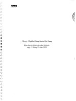 Báo cáo tài chính năm 2013 (đã kiểm toán) - Công ty Cổ phần Chứng khoán Phú Hưng