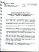 Báo cáo KQKD hợp nhất quý 2 năm 2010 (đã kiểm toán) - Công ty Cổ phần Đầu tư và Xây dựng Bưu điện