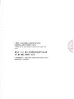 Báo cáo tài chính hợp nhất quý 2 năm 2011 (đã soát xét) - Công ty Cổ phần Kinh doanh Khí hóa lỏng Miền Nam