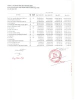 Báo cáo KQKD hợp nhất quý 4 năm 2012 - Công ty Cổ phần Văn hóa Phương Nam
