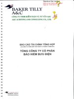 Báo cáo tài chính công ty mẹ năm 2013 (đã kiểm toán) - Tổng Công ty Cổ phần Bảo hiểm Bưu điện