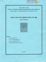 Báo cáo tài chính công ty mẹ quý 2 năm 2013 - Công ty Cổ phần Kinh doanh Khí hóa lỏng Miền Bắc