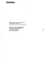 Báo cáo tài chính công ty mẹ năm 2011 (đã kiểm toán) - Tổng Công ty Dung dịch khoan và Hóa phẩm Dầu khí-CTCP