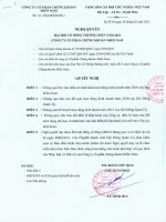 Nghị quyết Đại hội cổ đông thường niên năm 2010 - Công ty cổ phần chứng khoán Phương Nam