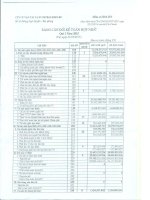 Báo cáo tài chính hợp nhất quý 1 năm 2015 - Công ty Cổ phần Vận tải và Dịch vụ Petrolimex Hải Phòng