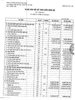 Báo cáo tài chính quý 1 năm 2010 - Công ty Cổ phần Sản xuất Thương mại Dịch vụ Phú Phong