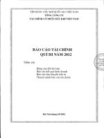 Báo cáo tài chính công ty mẹ quý 3 năm 2012 - Tổng Công ty Tài chính Cổ phần Dầu khí Việt Nam