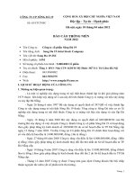 Báo cáo thường niên năm 2011 - Công ty Cổ phần Sông Đà 19