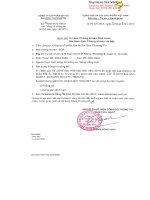 Báo cáo tài chính hợp nhất quý 2 năm 2014 (đã soát xét) - Công ty Cổ phần Địa ốc Sài Gòn Thương Tín