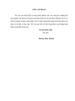 Kế toán doanh thu, chi phí và xác định kết quả kinh doanh tại Công ty Cổ phần Tập đoàn Kinh tế Đông Bắc  Hạ Long