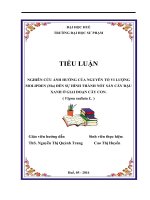 Nghiên cứu ảnh hưởng của nguyên tố vi lượng molipden( mo) đến sự hình thành nốt sần cây đậu xanh ở giai đoạn cây conư