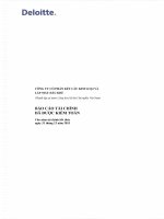 Báo cáo tài chính năm 2013 (đã kiểm toán) - Công ty Cổ phần Kết cấu Kim loại và Lắp máy Dầu khí