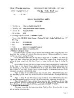 Báo cáo thường niên năm 2008 - Công ty Cổ phần Sông Đà 19